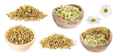 Dried and fresh chamomile flowers isolated on white, set