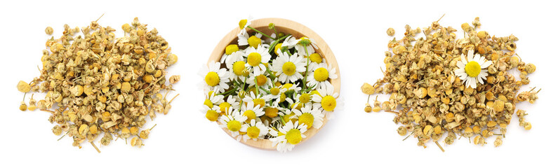 Dried and fresh chamomile flowers isolated on white, set. Top view