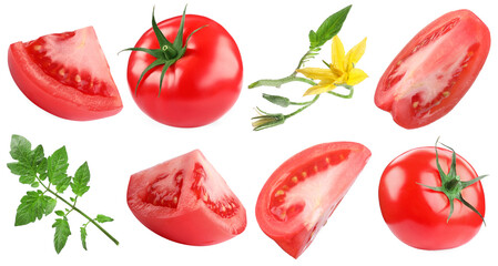 Fresh ripe tomatoes, blossoms and green leaves isolated on white, set