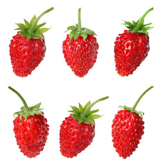 Fresh ripe wild strawberries isolated on white, collage