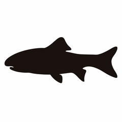 Silhouette of a fish swimming, a clean and minimalist vector graphic
