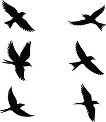 PrinSilhouette of six birds flying in formation, black and white isolated background, nature wildlife concept, perfect for stock design uset