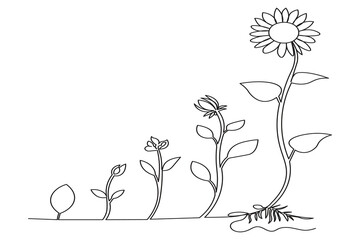 Continuous one-line drawing of a sunflower seed sprouting into a tall blooming sunflower