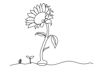 Continuous one-line drawing of a sunflower seed sprouting into a tall blooming sunflower