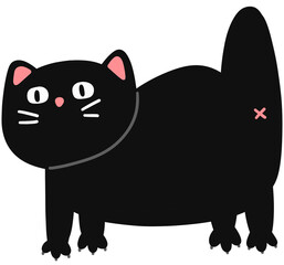 Cute Black Cat Looking Surprised