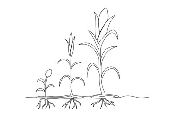  Continuous one-line drawing of wheat seed sprouting into a golden wheat