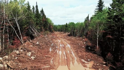 A clearcut area in a forest showing the impact of logging on the environment