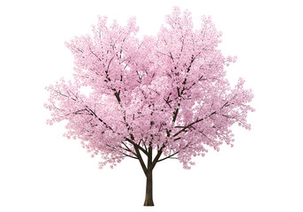 A lush, full cherry blossom tree with delicate pink blossoms, isolated against a stark black background, showcasing the beauty of spring.