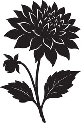 dahlia silhouette vector