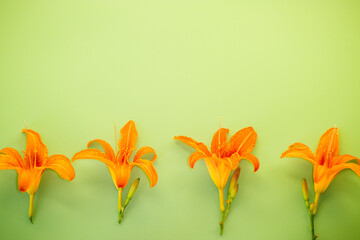 Close-up view of orange lilies with bright green background