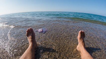 Feet of a person looking at (Rhopilema nomadica) jellyfish at the beach, It has vermicular filaments with venomous stinging cells that cause painful injuries to people, Jellyfish sting concept image. © boulham