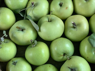 green apples with stems close-up