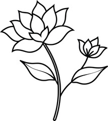 Botanical line art flowers illustration