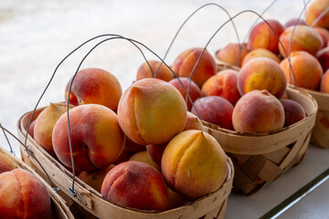 Peaches in basket