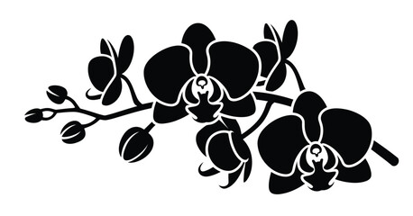 Elegant black silhouette of a blooming orchid branch
