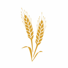 ears of wheat vector illustration isolated on white