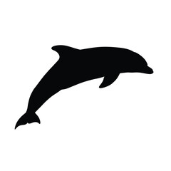 Black dolphin leaping from water silhouette jumping