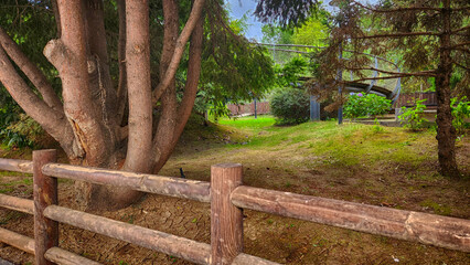 park railings made of logs and a view of the forest behind