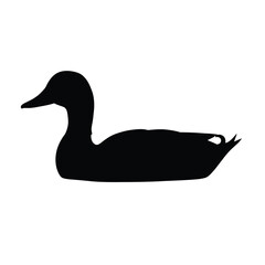 Black duck silhouette white bird
