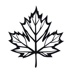 Maple leaf black outline vector, Vector graphic of a maple leaf, outlined in black, isolated on transparent background