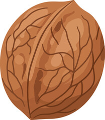 A single realistic illustration of a whole uncracked walnut with its distinctive textured shell and intricate natural patterns isolated on a white background
