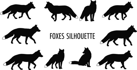 Fox silhouette vector set, wild animal clipart collection, walking and sitting foxes, black shadow shapes, isolated on white background