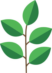 A simple flat design illustration of a green plant stem with five oval leaves against a white background