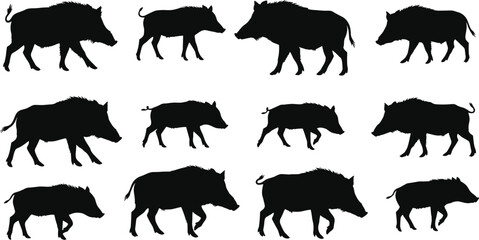 Wild boar silhouette vector set, walking wild pigs, black hog shapes, forest animal collection, hunting clipart, isolated design elements