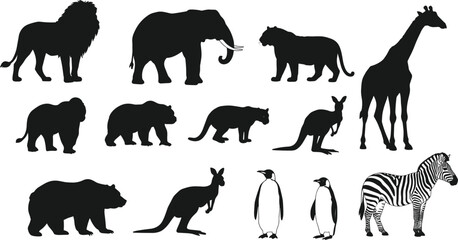 Wildlife animal silhouettes collection, African safari animals, jungle wildlife vector, nature animals icons, lion, elephant, giraffe, zebra, bear, kangaroo © MSAYASHA