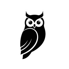 Fototapeta premium owl on a white background