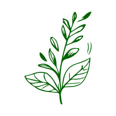 green leaves vector doodle.