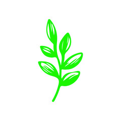 green leaves vector doodle.Isolated Palm Leaves on white background