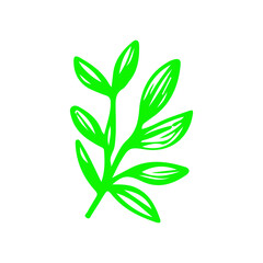 Fototapeta premium green leaves vector doodle.Isolated Palm Leaves on white background