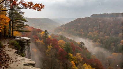 Colorful autumn leaves and forests cover the scenic mountain landscape under a foggy sky