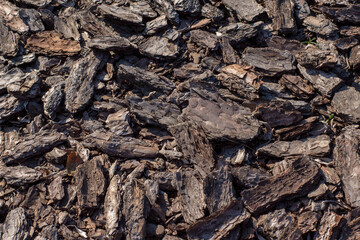 A close-up, overhead shot of brown bark mulch covering the entire frame. Small pieces of wood are...