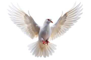 Fototapeta premium white dove flying isolated on white background PNG ,AI GENERATED