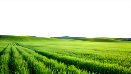 Lush green field with rolling hills under a clear sky, a tranquil rural landscape isolated on transparent background