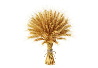Elegant bouquet of dried wheat stalks tied with a rustic string isolated against a black background