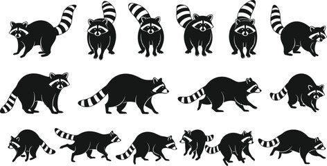 Silhouette raccoon vector illustration set showing various animal poses, wildlife walking, standing, sitting, cartoon style design for decoration