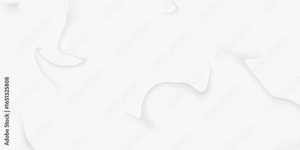 Poster white, gray, swirl, abstract minimal soft wave background with smooth decorative lines isolated mode