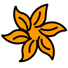 orange flower isolated on white background