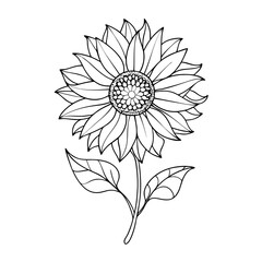 white flower on black background