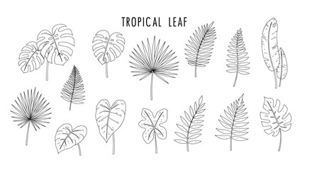 Tropical Leaf Outline Set