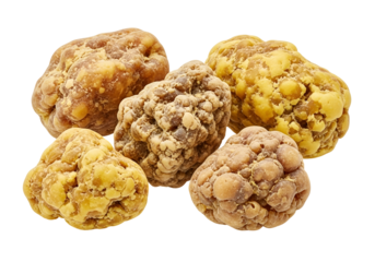 Group of Five assorted chickpeas with different textures and colors for culinary use