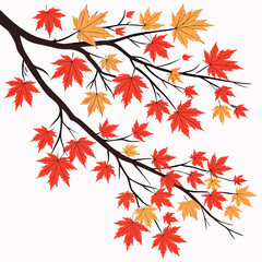 Stylized illustration of a tree branch with red and yellow autumn leaves on a white background