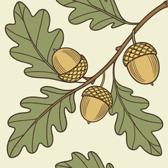 Detailed illustration of oak leaves and acorns in a botanical style