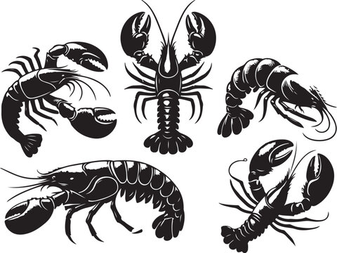 set of lobster  vector