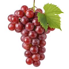 Fototapeta premium A bunch of red grapes hanging with a single green leaf, transparent background