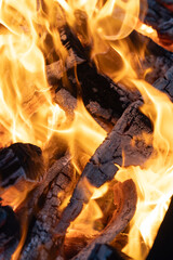 Flame wood in bonfire. Camp barbecue wood charcoal burns in the grill. Blaze fire flame texture...