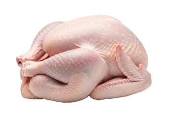 Raw Whole Turkey Showing Detailed Skin and Natural Shape for Culinary Preparation